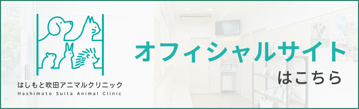 オフィシャルサイト