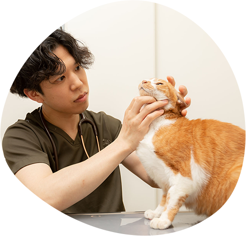 Feature 01 徹底的に原因を調べる診療姿勢