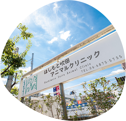 Feature 04 飼い主さまと伴走する姿勢