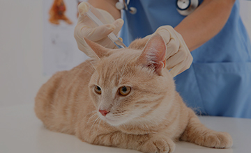 診断法と治療法