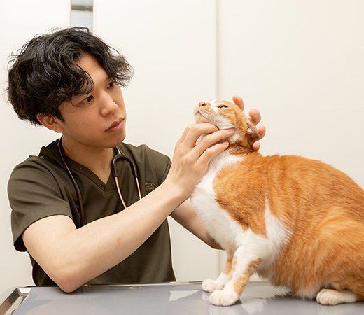 腫瘍（できもの・しこり)