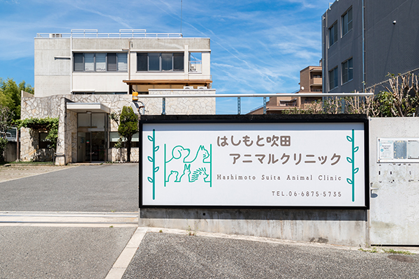 かゆみ外来についても教えてください