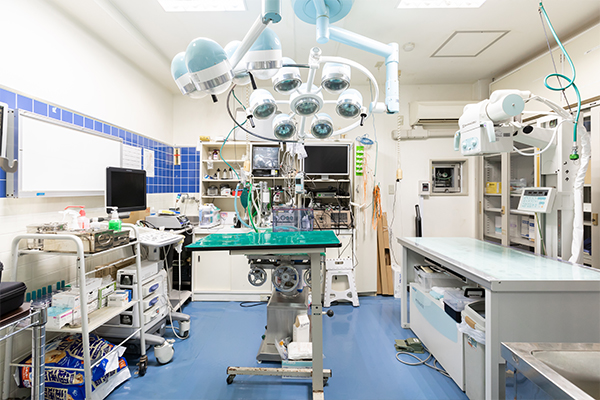 診察の際に見逃さないポイントがあれば教えてください