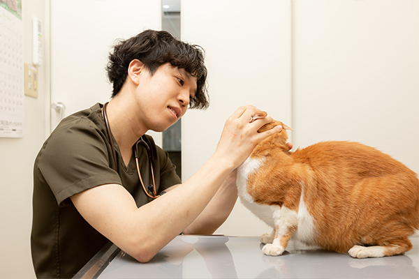 健康診断へのこだわりについて先生のお考えを教えてください