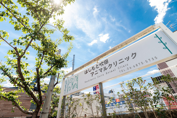 かゆみの検査方法