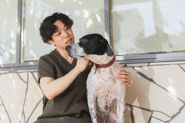 肥満と運動不足