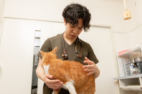 腫瘍の治療方法