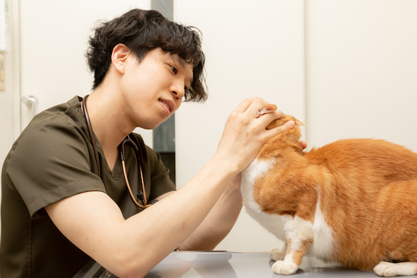 歯科検診の注意点