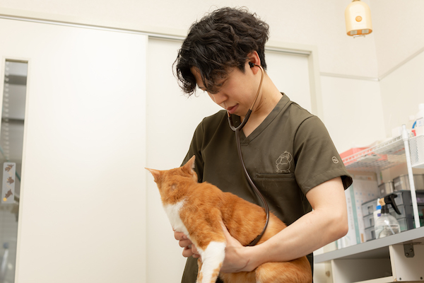 できもの・しこりとは