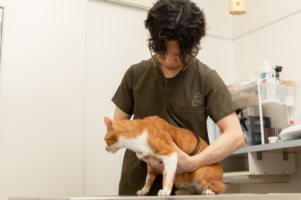 健診で見つかりやすい病気とは