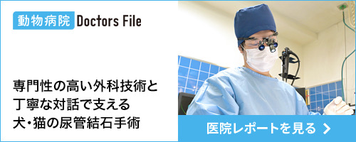 動物病院 Doctors File 専門性の高い外科技術と丁寧な対話で支える犬・猫の尿管結石手術 医院レポートを見る